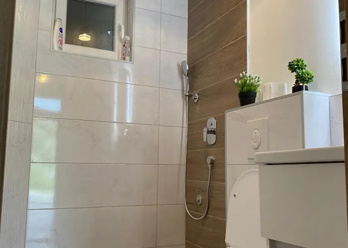 Lakeside 招待所 3*