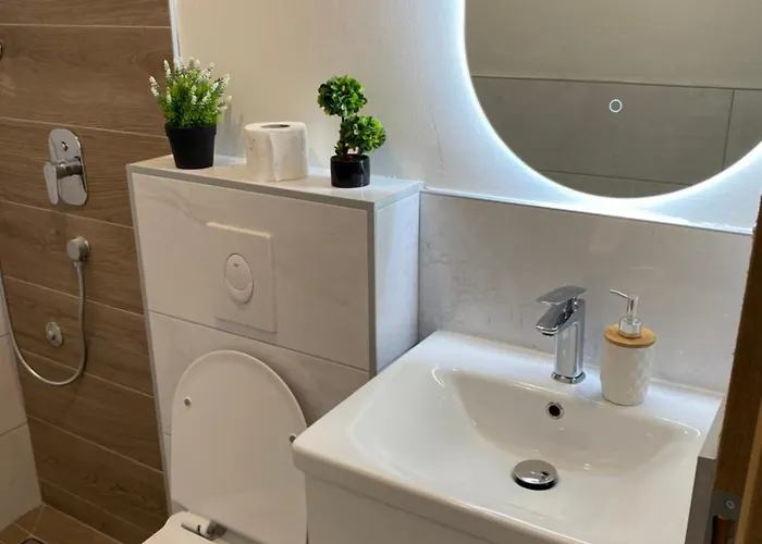 招待所 Lakeside 3*