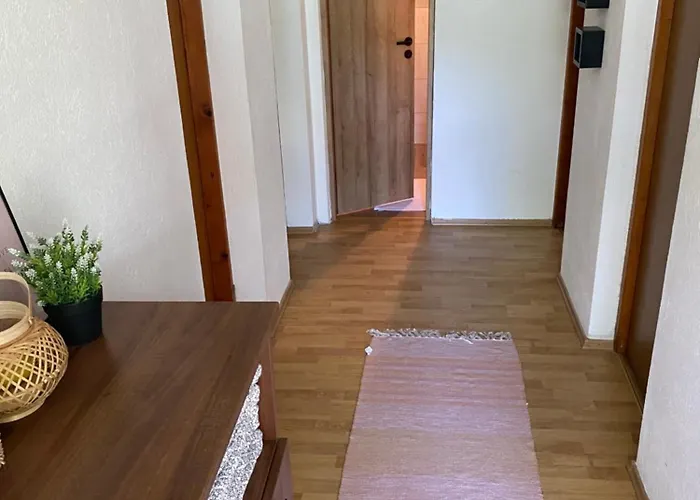 Lakeside 招待所 3*