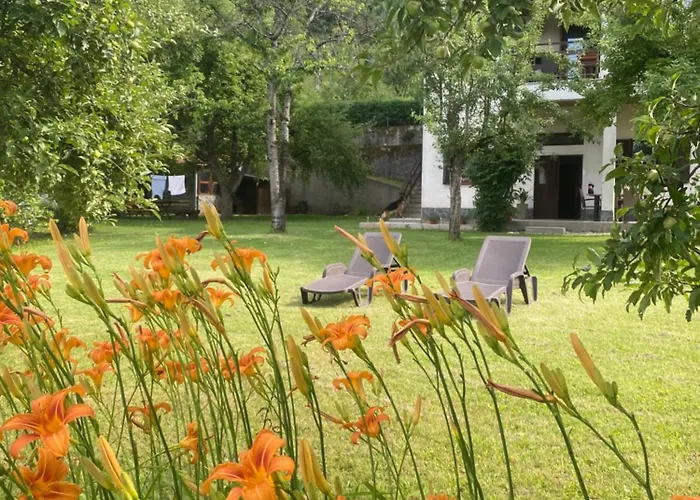 Lakeside 3* 科尼茨