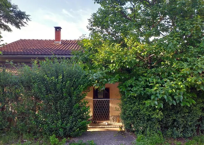 Lakeside 招待所 科尼茨